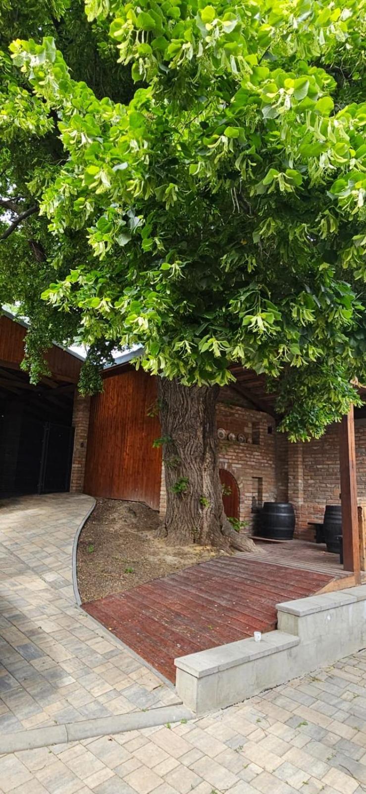 Apartmany Pulgary Bulhary Exterior photo